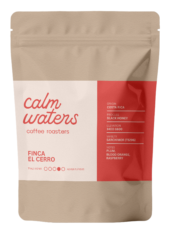 Calm Waters Coffee Roasters Finca El Cerro