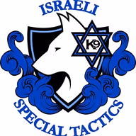 Israeli Special Tactics logo