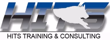 HITS T&C logo