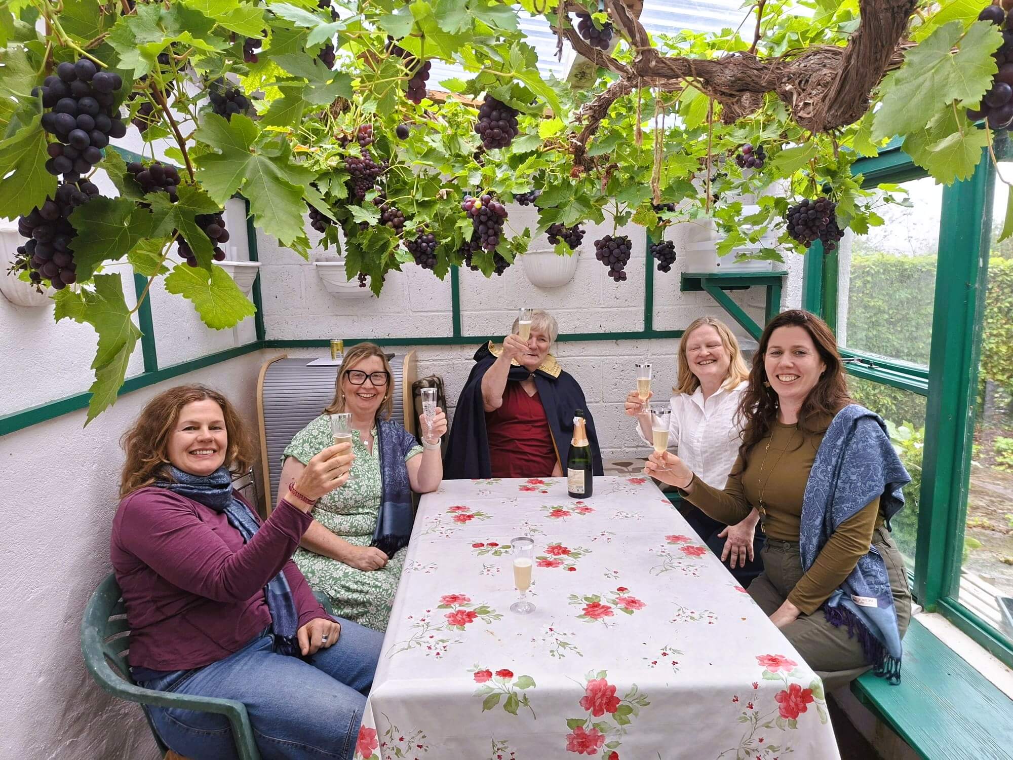 Graduates of ICTIM sitting around a table with a floral tablecloth inside a greenhouse with grapevines hanging overhead, holding champagne glasses and smiling, with a bottle of champagne on the table.