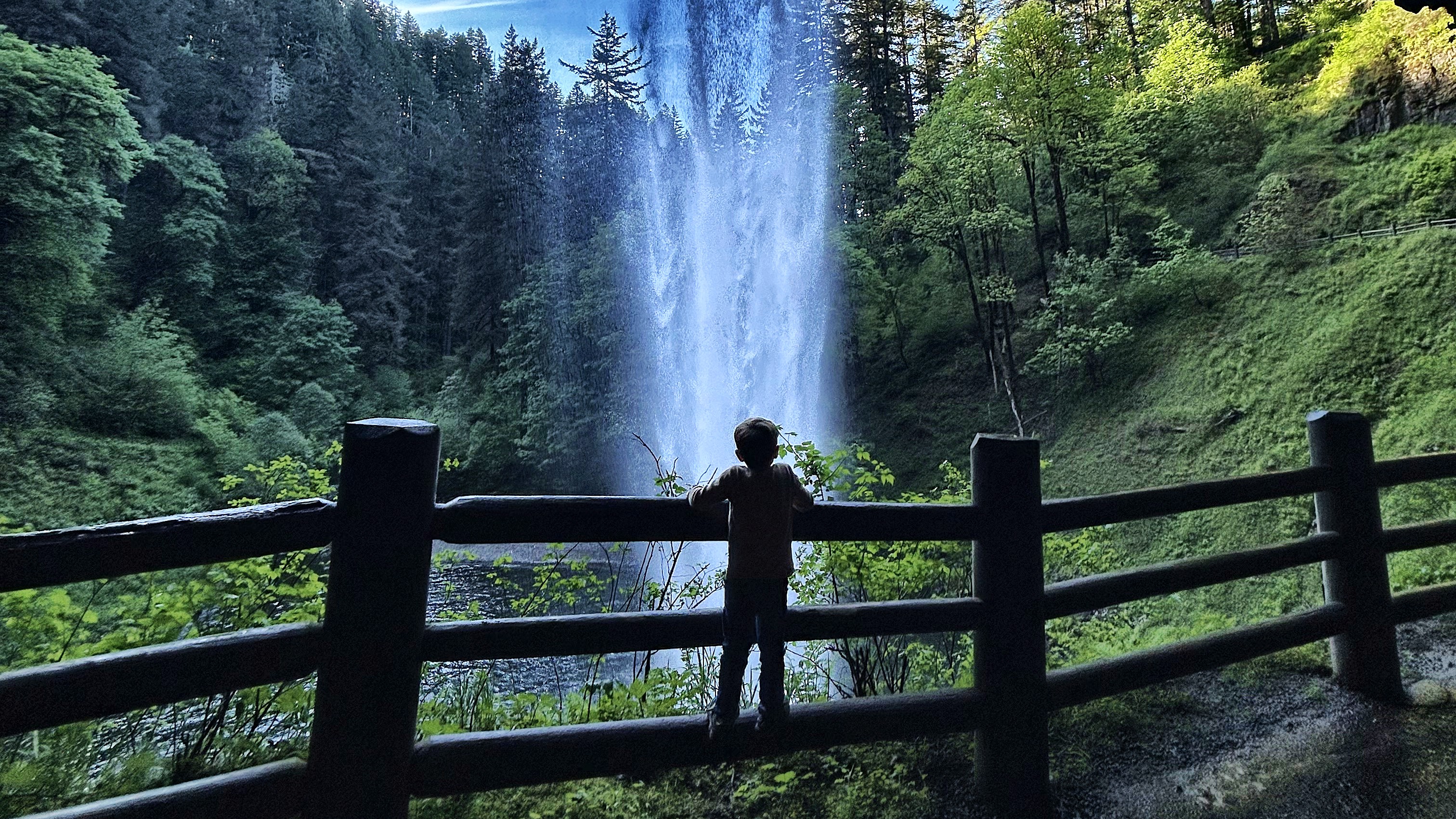 Looking out through the waterfall curtain from the walk-behind trail, Silver Falls State Park