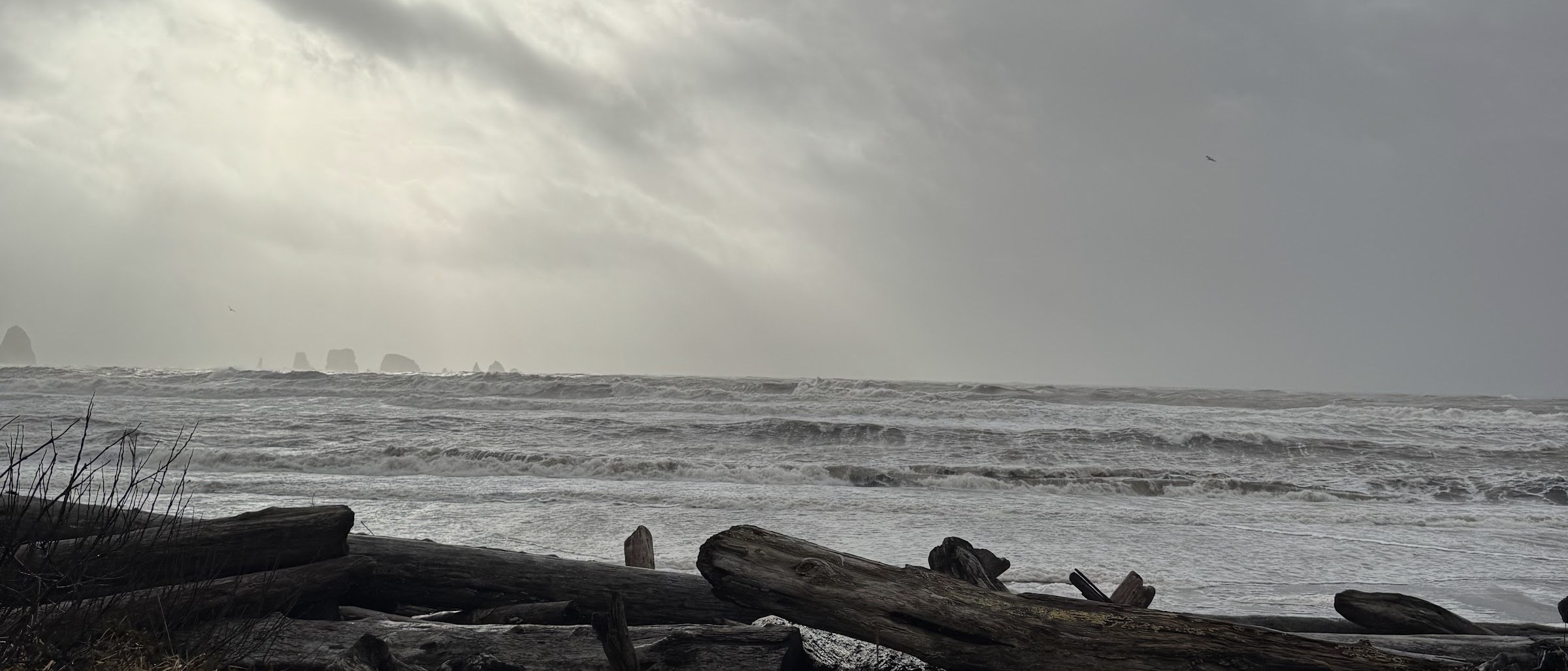 Driftwood and gray surf at First Beach, La Push