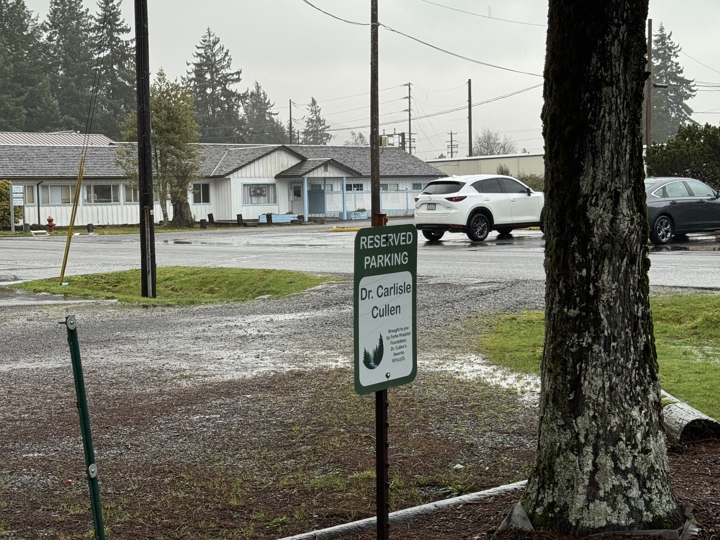 Reserved parking for Dr. Carlisle Cullen
