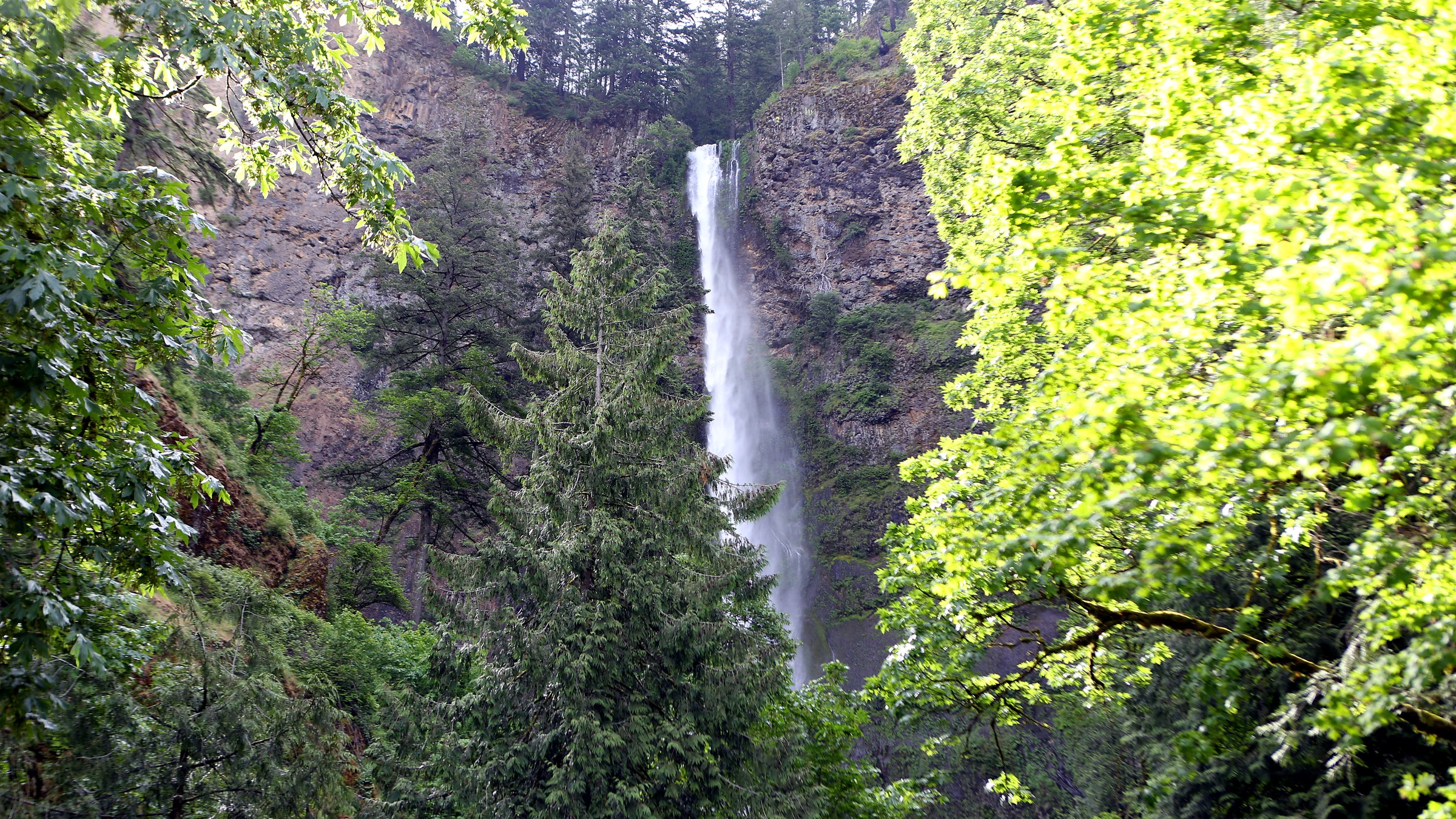 Multnomah Falls seen through the trees in the Columbia River Gorge