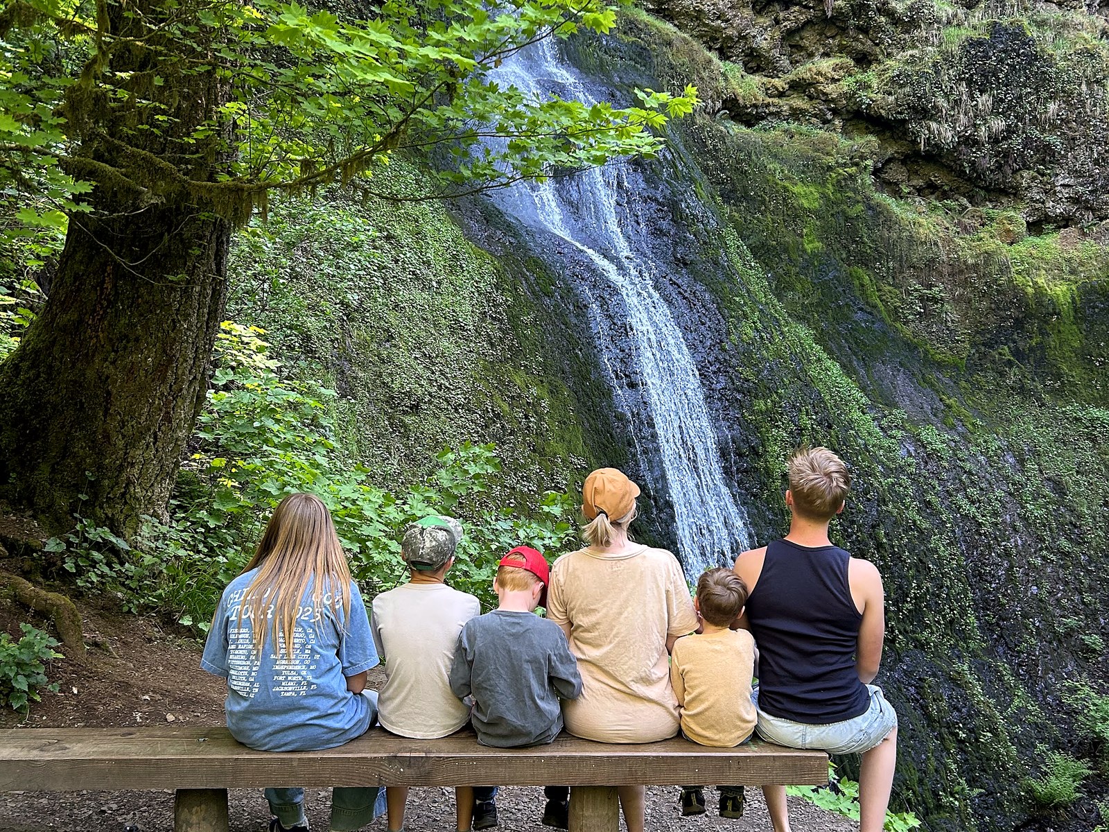 Kids sitting on a bench watching a waterfall at Silver Falls State Park
