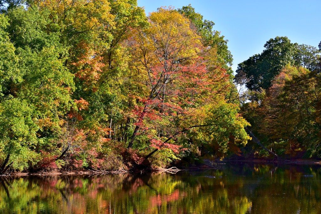 Fall color in the Litchfield Hills