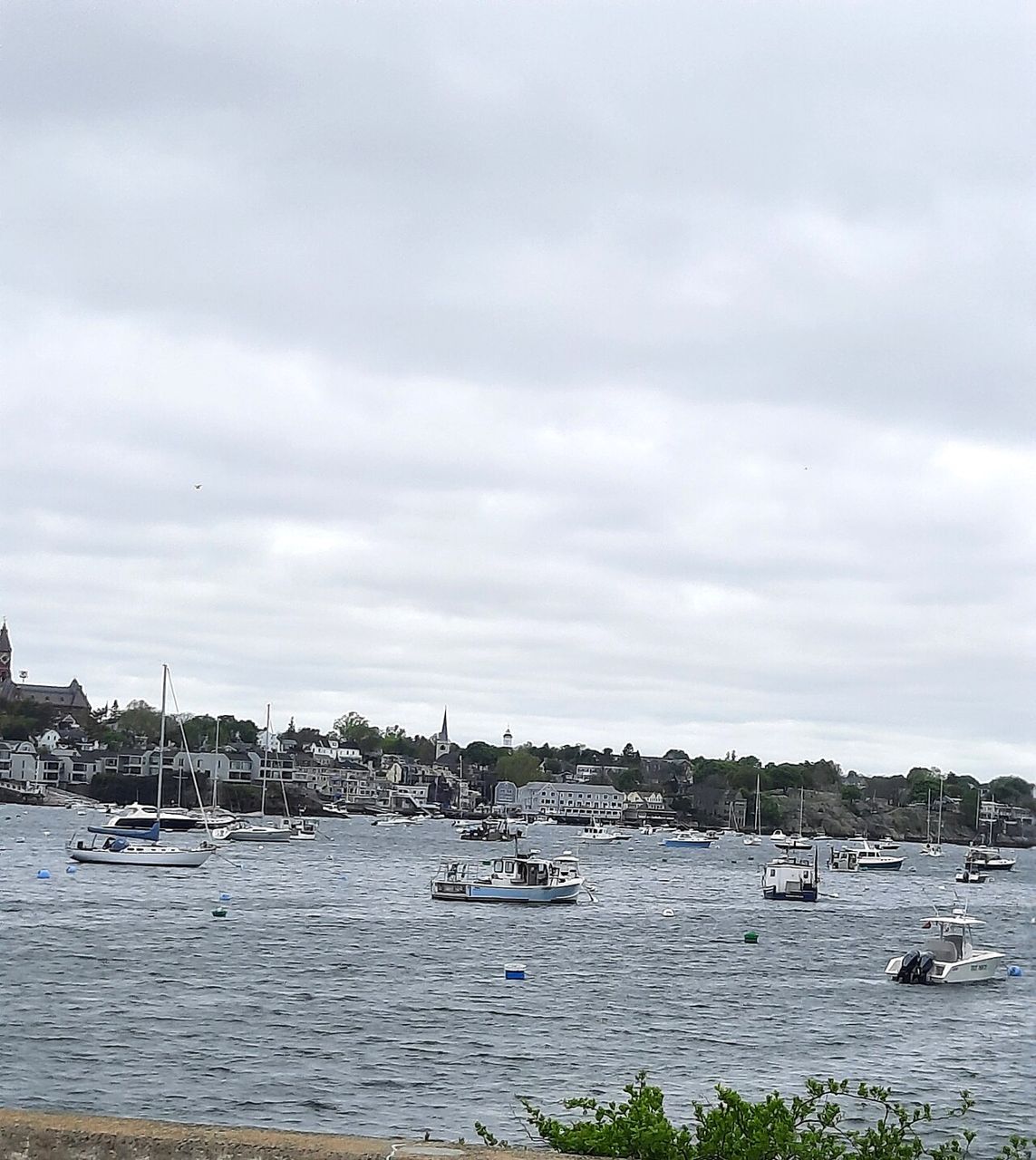 The harbor in Marblehead