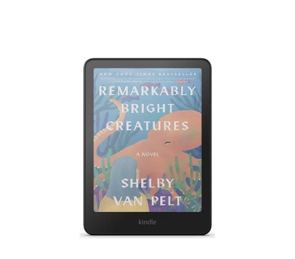 Kindle Colorsoft (16 GB)