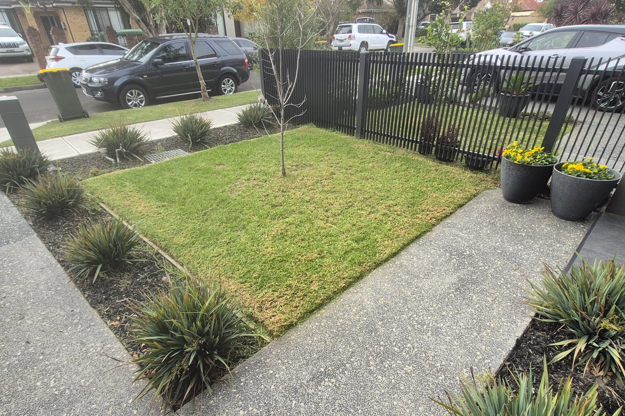 Freshly mowed lawn