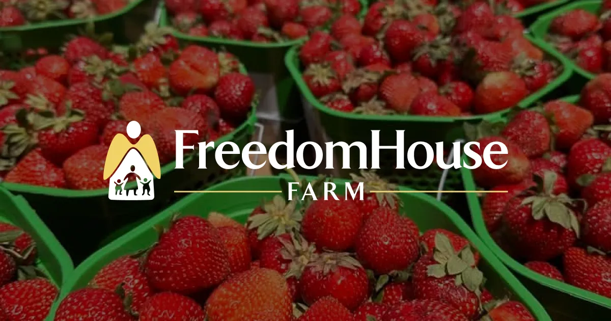Freedom House Farm cover