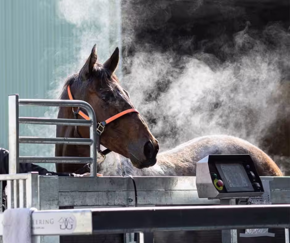 Performance stables using ECB Equine systems for daily training and recovery