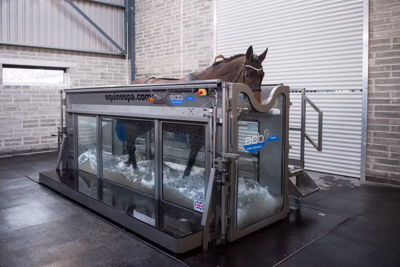 Horse standing in cold saltwater inside an ECB equine spa at a rehabilitation yard