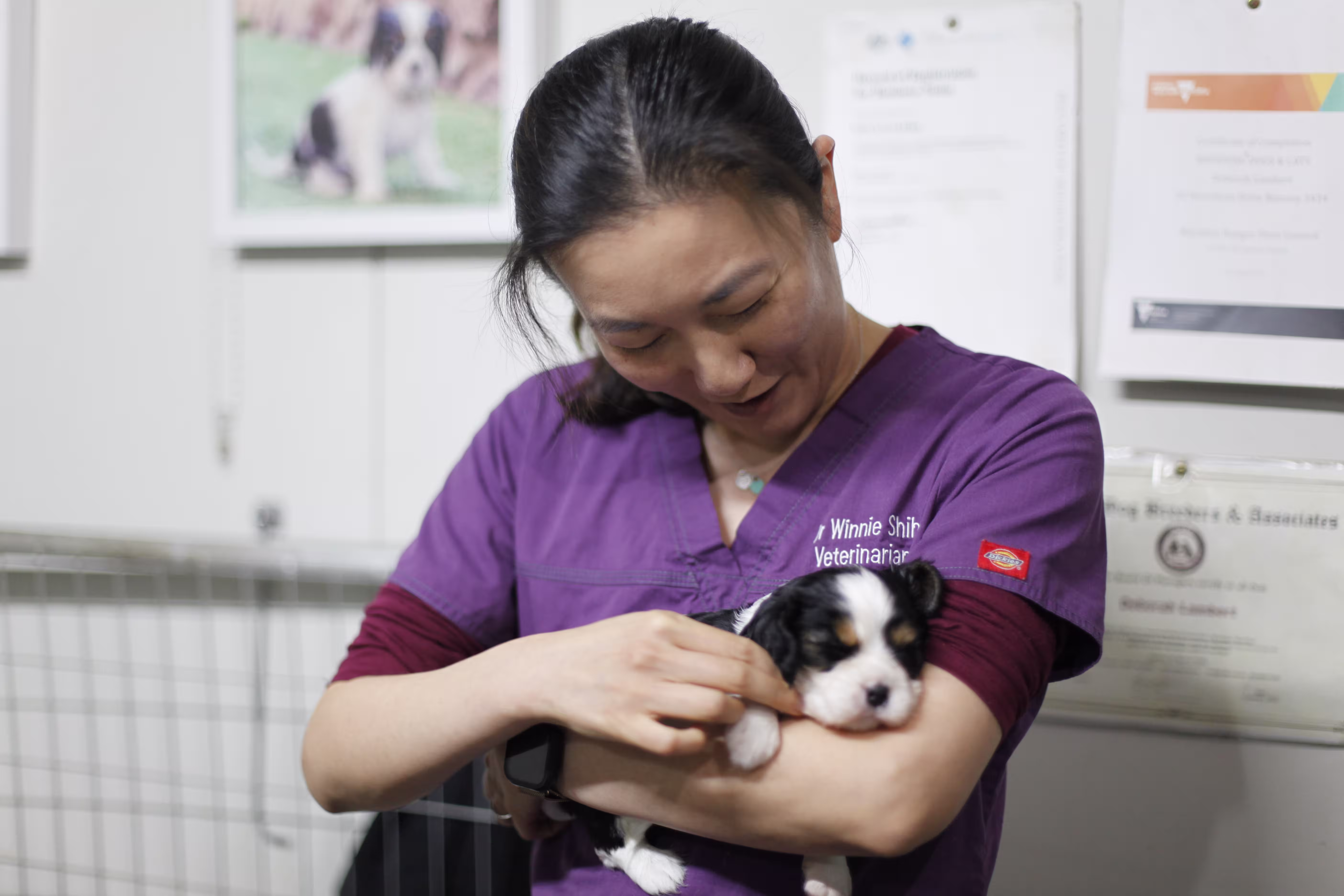 Dr. Winnie Vet is giving a cuddle to a dog 