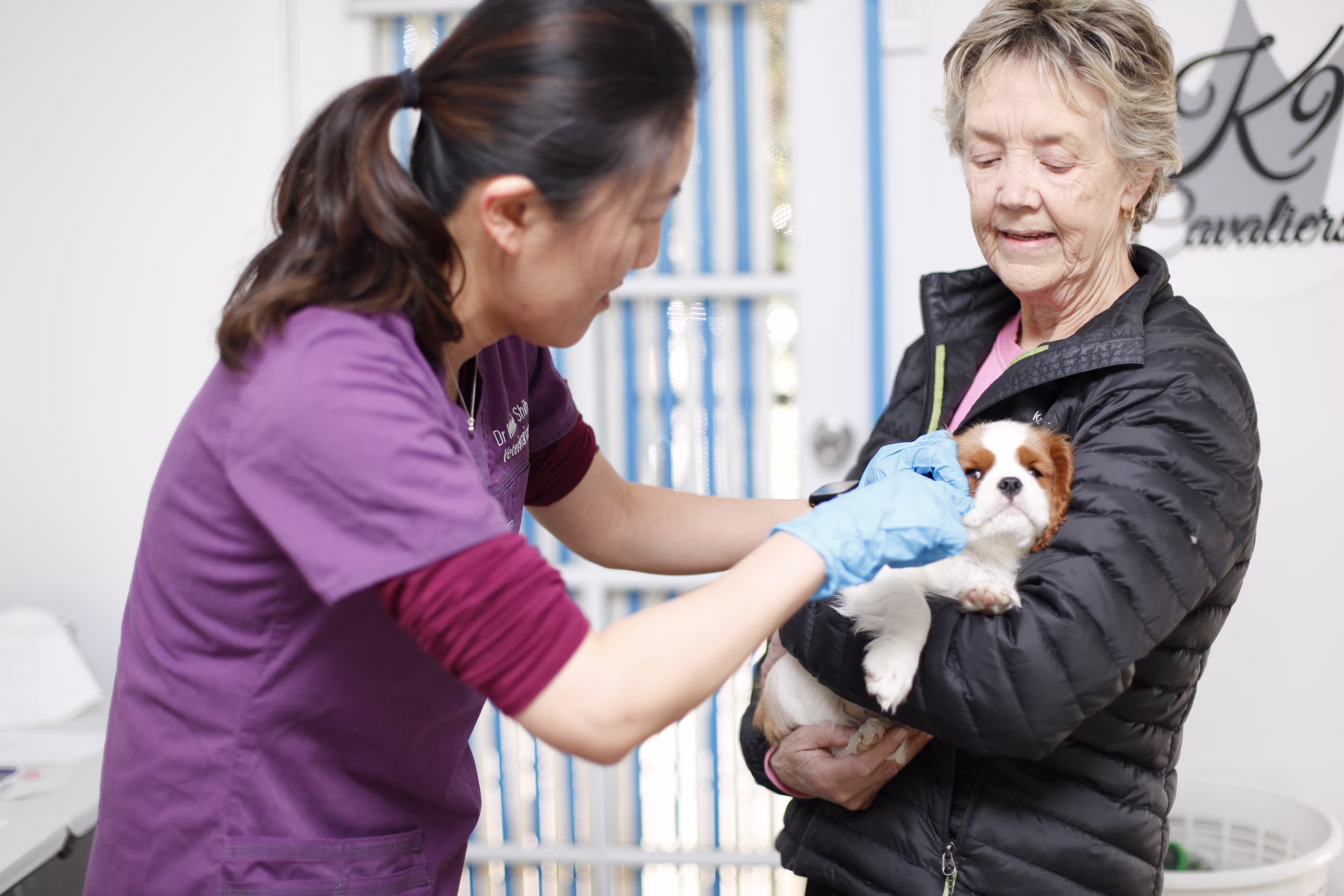 Dr Winnie examining a small dog while the dog's pet parent is holding her in her arms. 