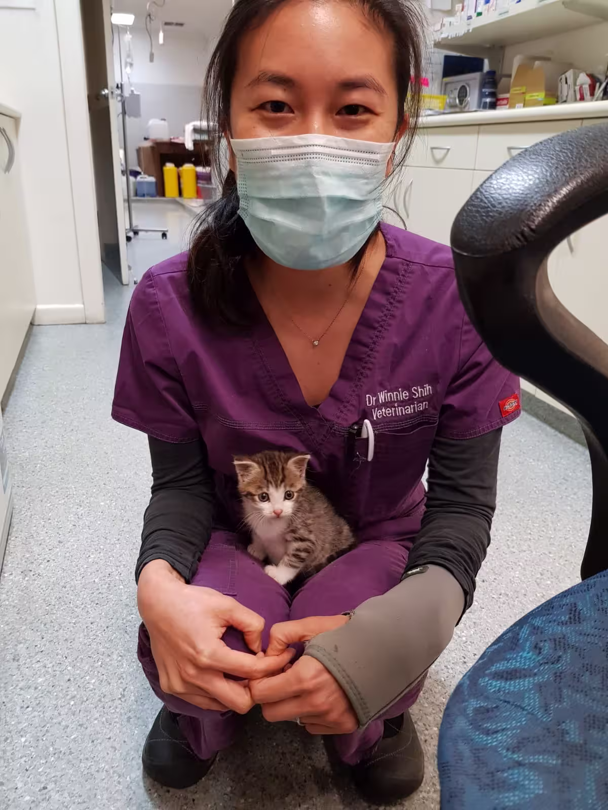 Mobile with Dr. Winnie wearing a mask with a small cat in her lap. 
