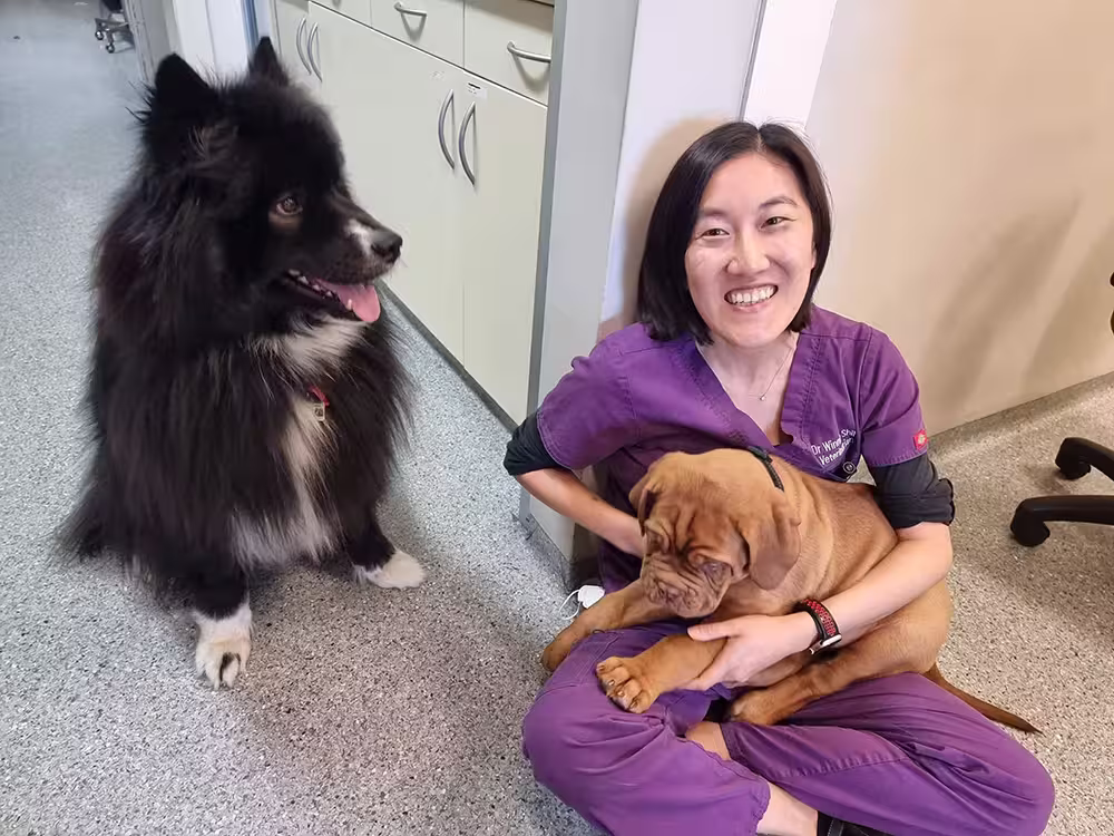 Dr Winnie holding a dog while another dog watches happily