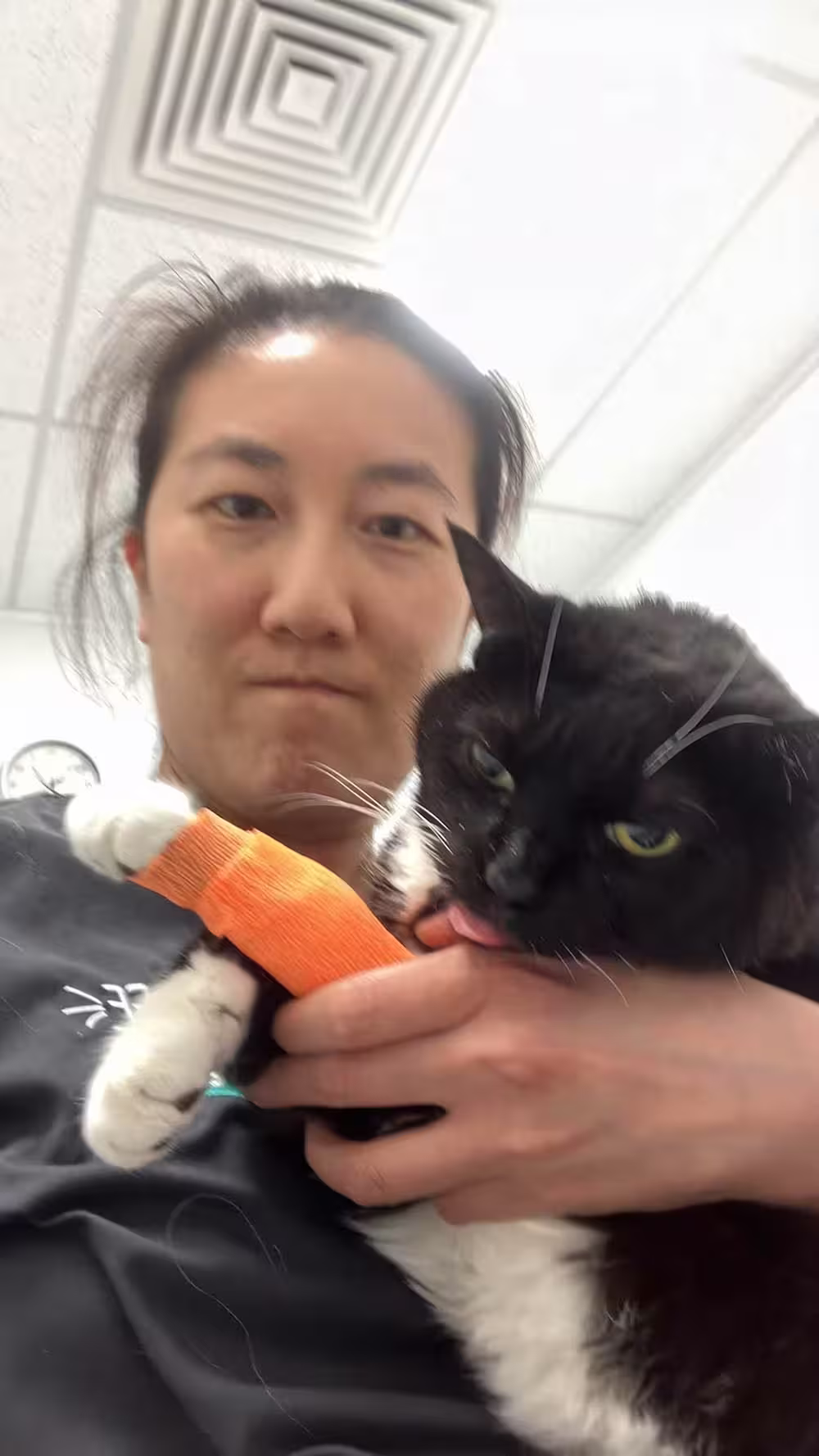 Dr Winnie with a cat in a cast
