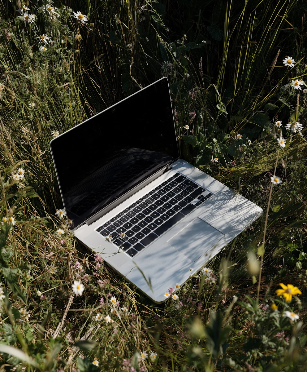 Silver laptop open and placed among green grass and small white and yellow wildflowers in a natural outdoor setting.