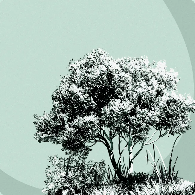 Illustration d'un arbre au feuillage dense, entouré d'herbe et de petites plantes, sur un fond vert clair.