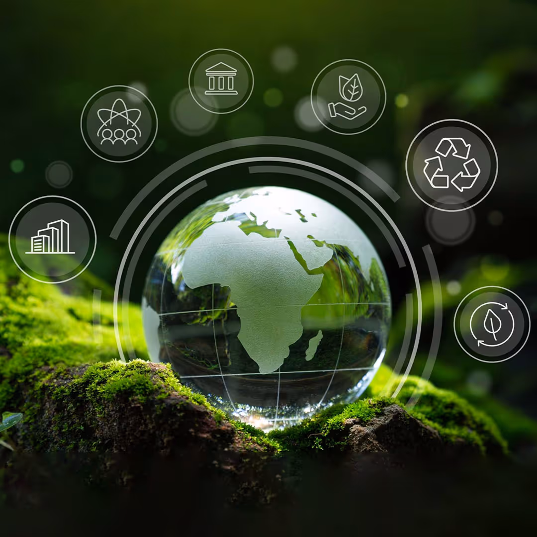 Colocation Solutions | Synapsecom
