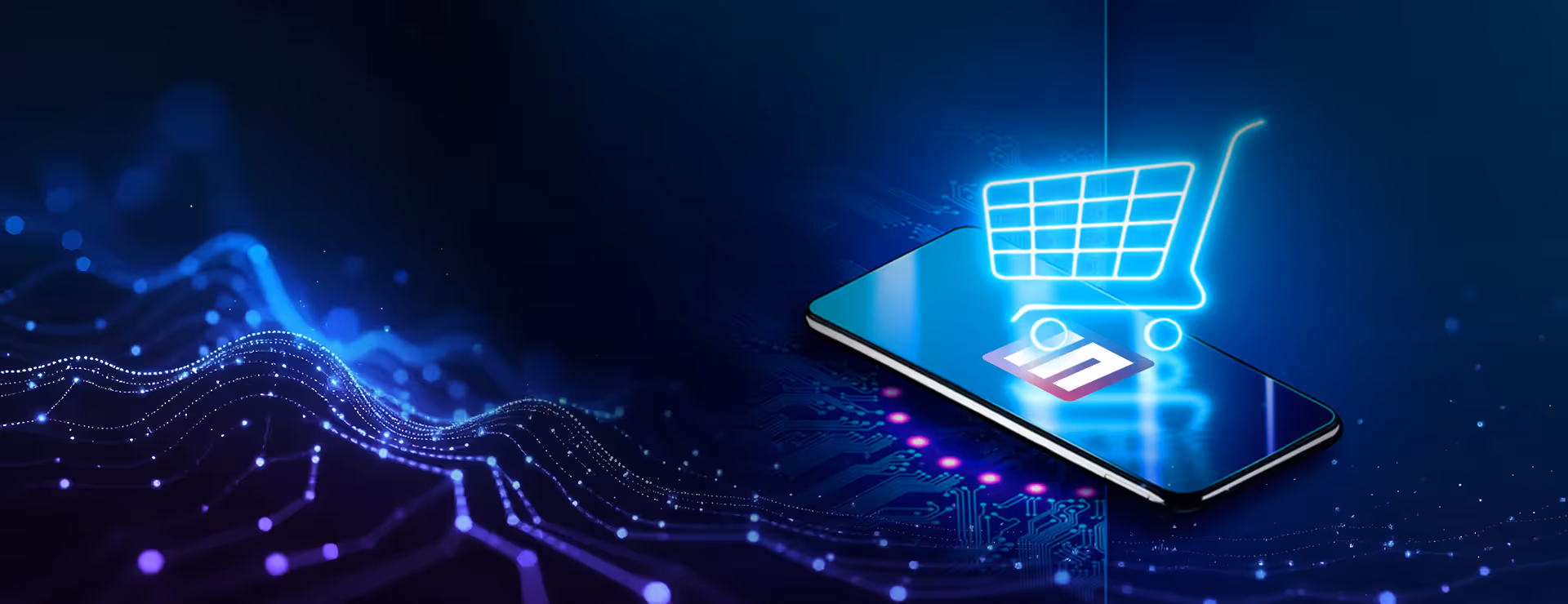 E-commerce& Retail Tech | Synapsecom