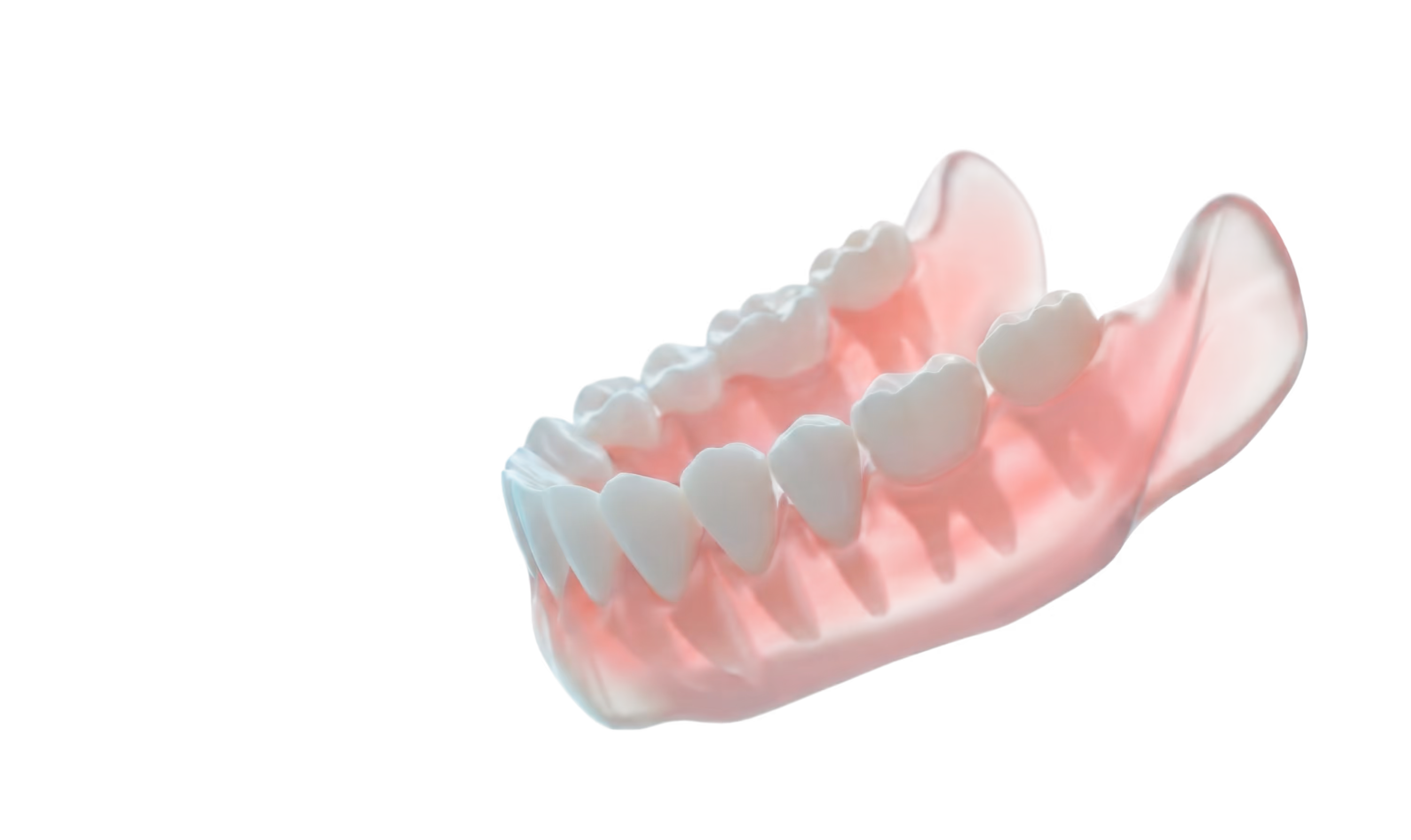 3D illustration of a set of lower teeth and gums with a pink translucent effect.