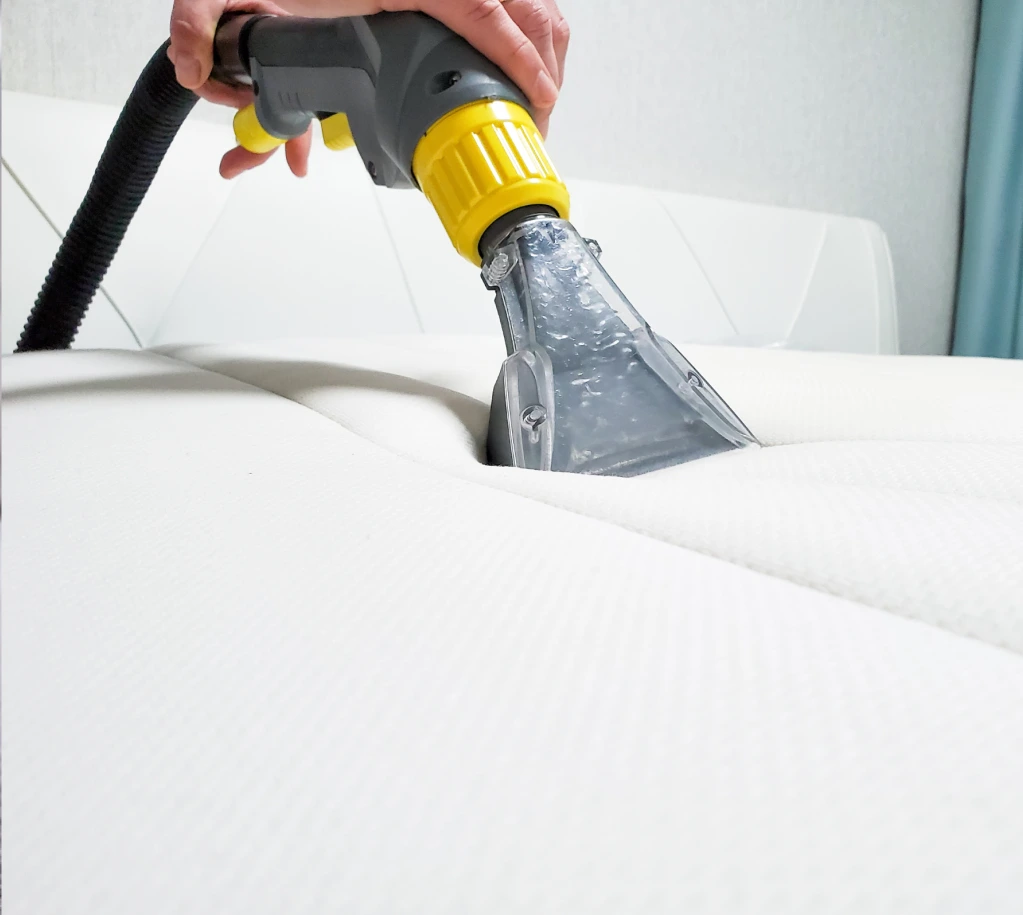 Person cleaning a white mattress with a yellow and black upholstery cleaning tool.