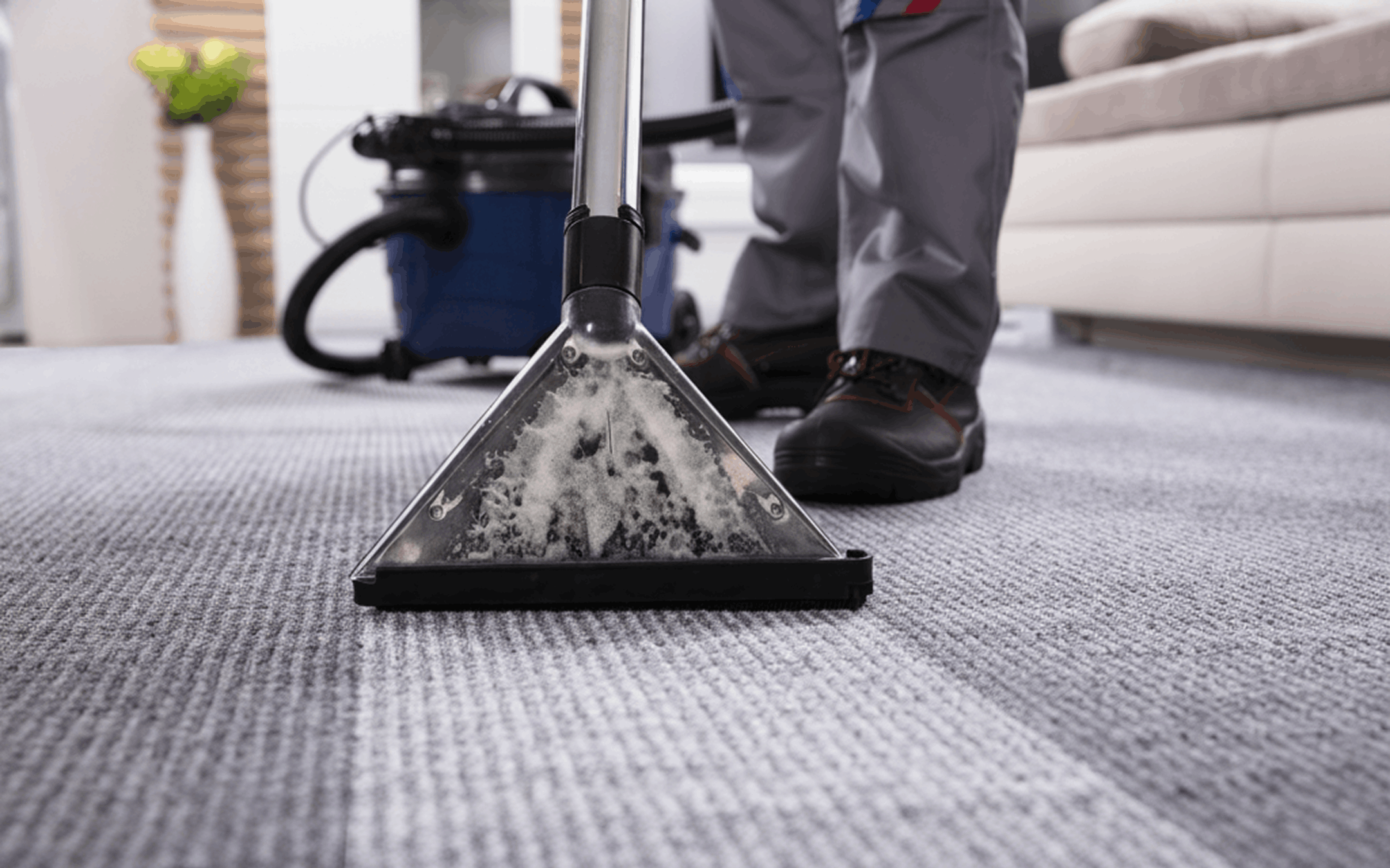 Person cleaning a gray carpet with a carpet cleaning machine showing soapy water in the vacuum head.
