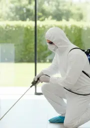 Person in white protective suit spraying disinfectant indoors near a large window with a green garden outside.