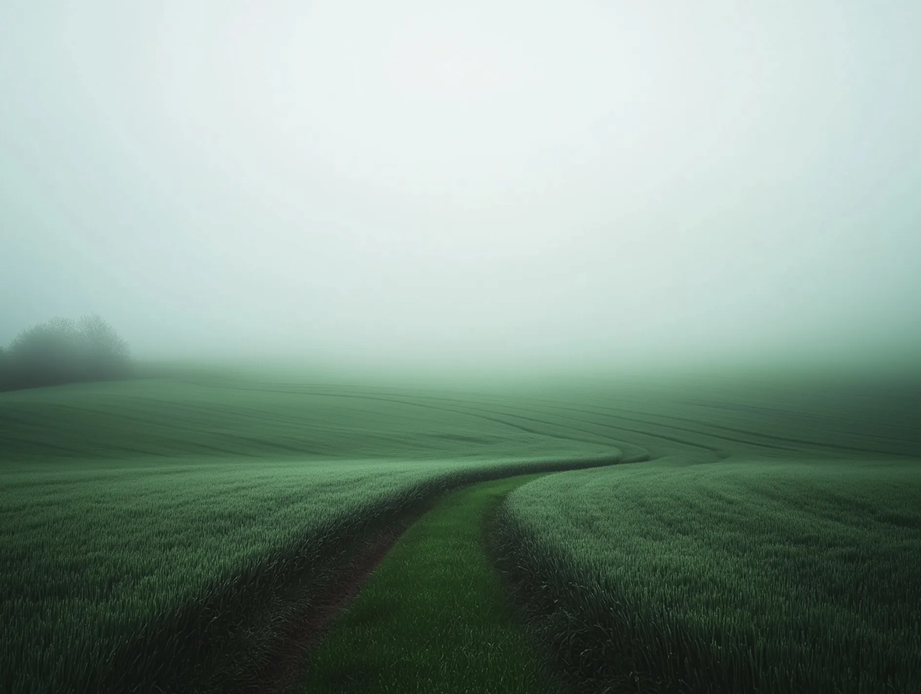 Page Header Image