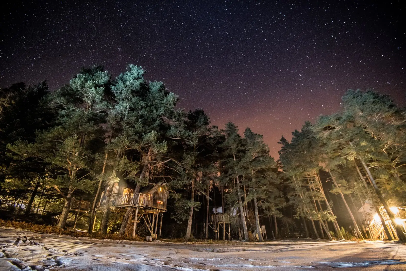 Cabanes dans les arbres Nids des Vosges