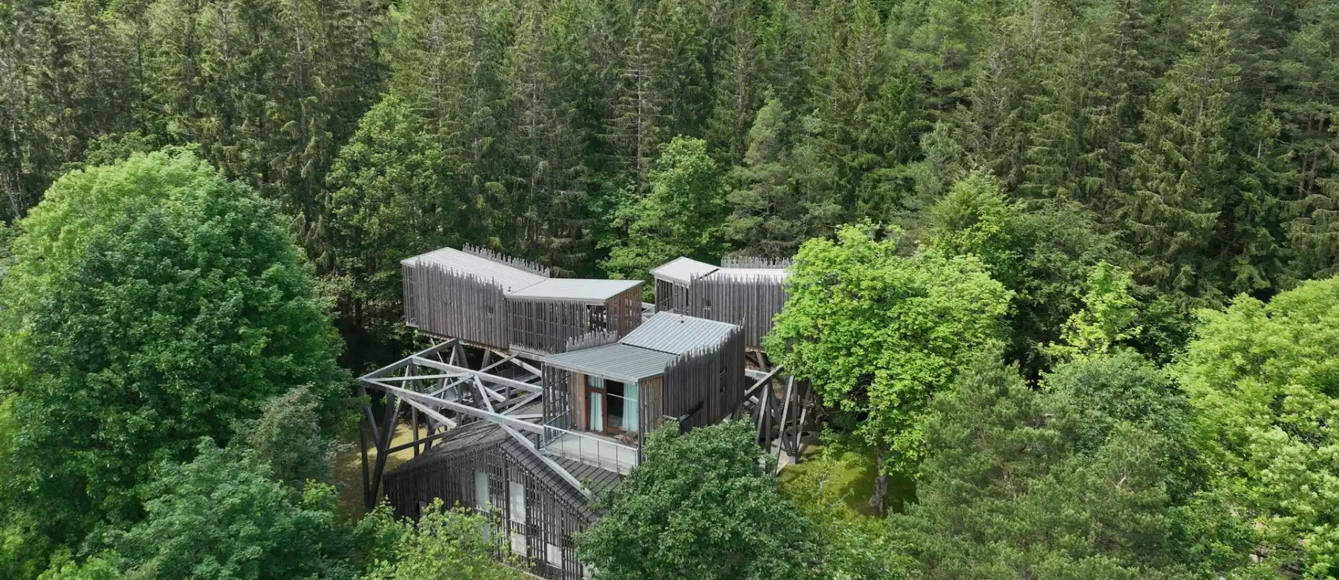 Cabane dans les arbres en forêt vosgienne – Cabanes Nids des Vosges à Champdray