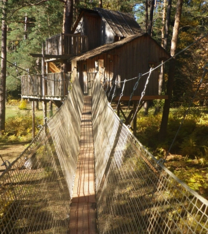 Vue sur la canopée depuis une cabane perchée dans les Vosges | Coucoo Cabanes