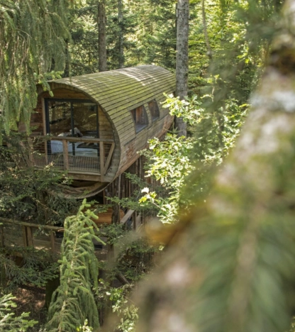 Cabane dans les arbres entourée de sapins en été – Vosges Grand Est