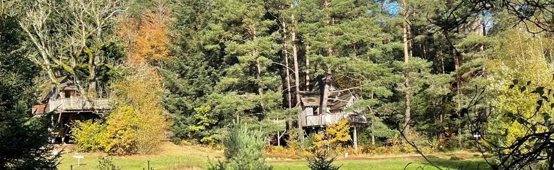Cabanes Nids des Vosges - Grand Est - Cabanes dans les Abres