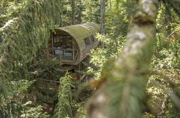 Cabanes sur pilotis dans la forêt - Coucoo Cabanes - Cabanes Nids des Vosges