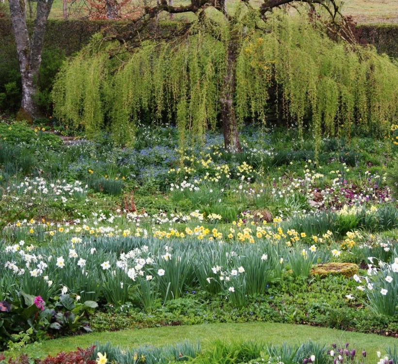 Le Jardin de Berchigranges