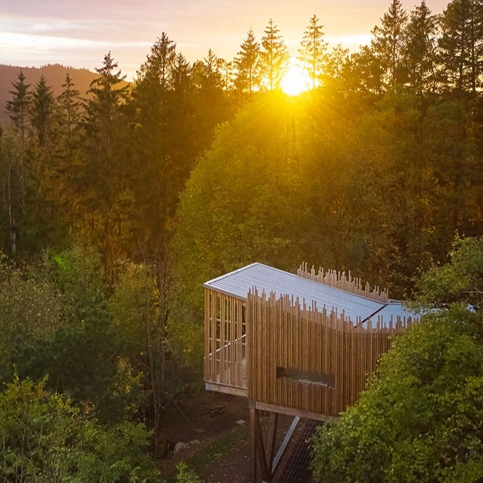 Dîner terroir vosgien livré en cabane dans les arbres – Cabanes Nids des Vosges Champdray
