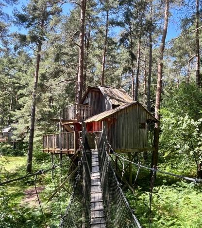 Vue sur la canopée depuis une cabane perchée dans les Vosges | Coucoo Cabanes