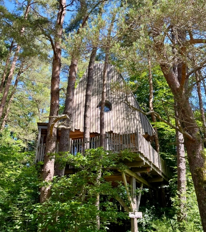 Cabane dans les arbres entourée de sapins en été – Vosges Grand Est
