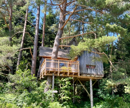 Panoramaterrasse des Baumhauses La Tour in 5 Metern Höhe in den Vogesen