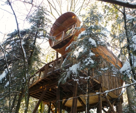 Großes Baumhaus für 7 Personen im Vogesenwald – Nids des Vosges Baumhäuser