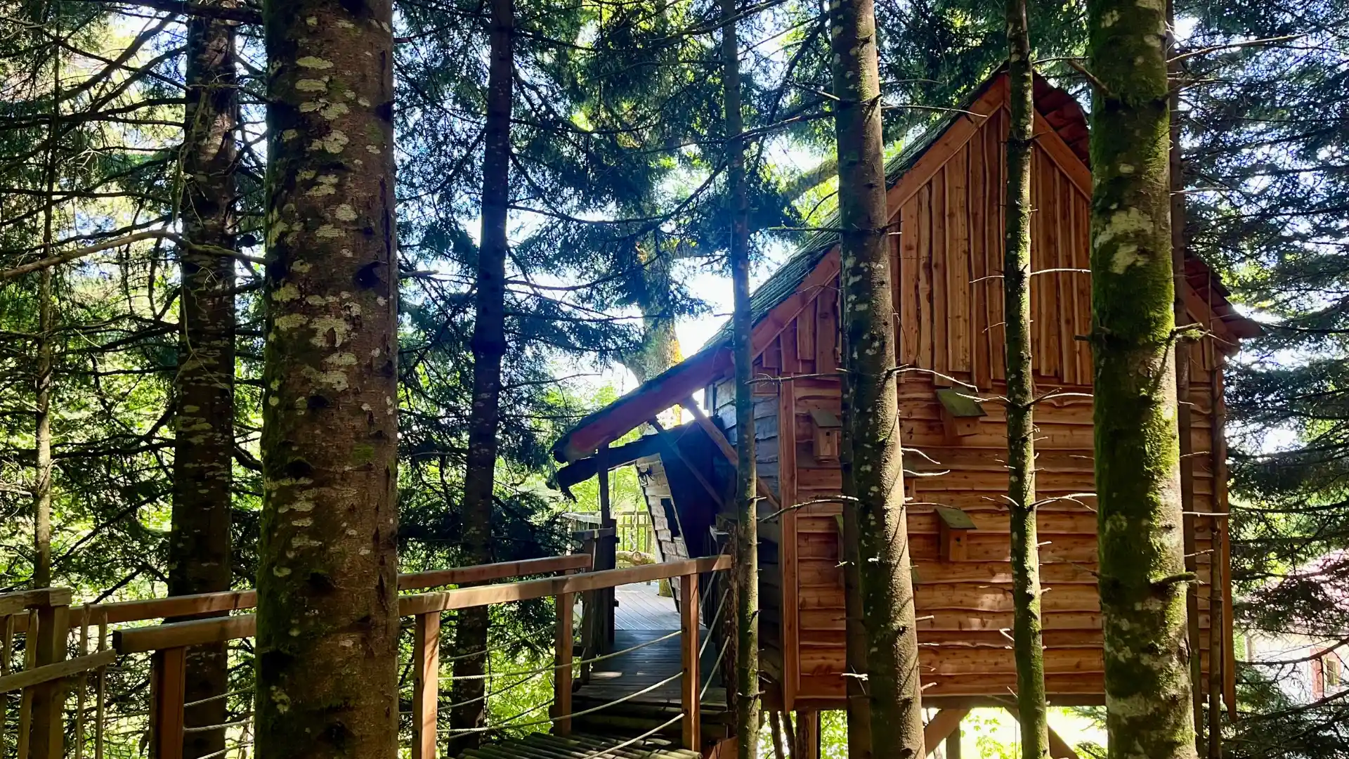 Le Repère – Cabane Cosy | Cabanes Nids des Vosges