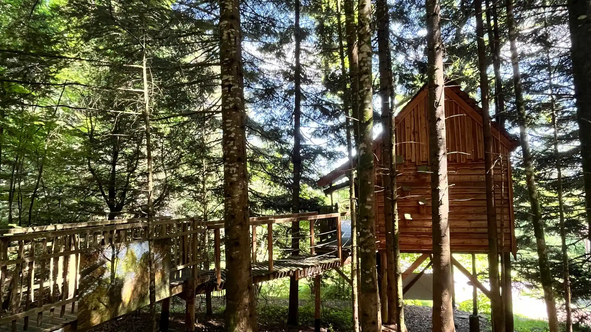Baumhaus Le Repère in einer hundertjährigen Esche – Cabanes Nids des Vosges Champdray