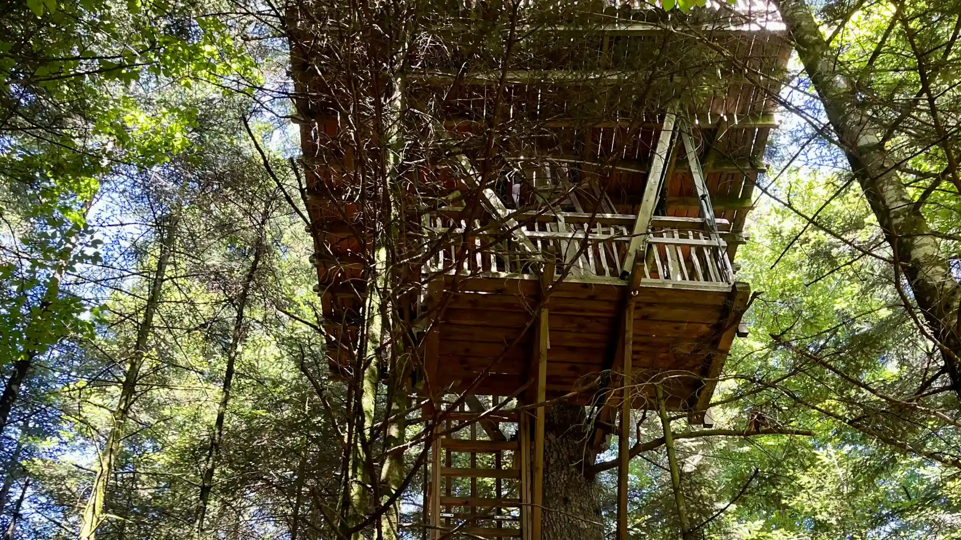 L'Observatoire – Cabane Cosy | Cabanes Nids des Vosges