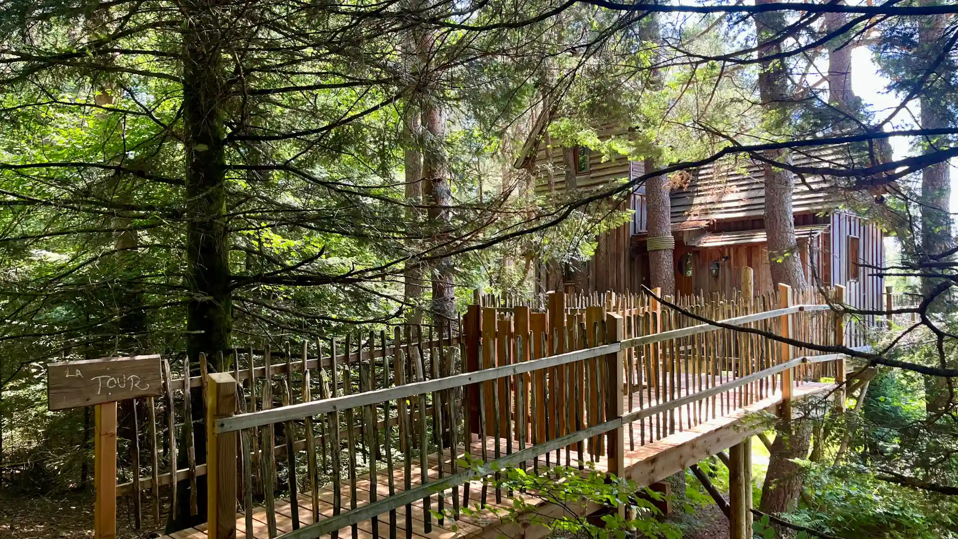 Gemütliches Baumhaus La Tour inmitten der Vogesen-Kiefern – Cabanes Nids des Vosges Champdray