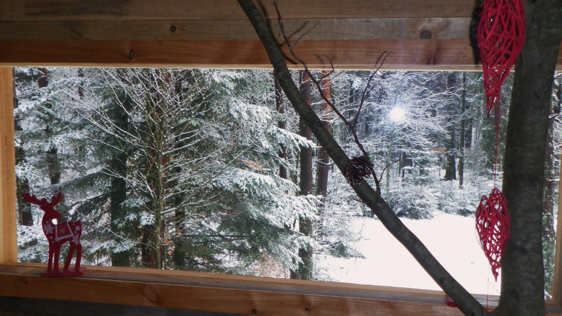 La Double – Cabane Cosy | Cabanes Nids des Vosges