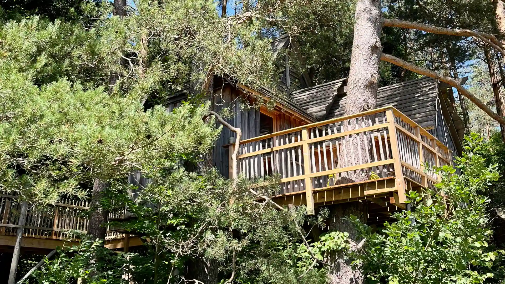 La Double – Cabane Cosy | Cabanes Nids des Vosges