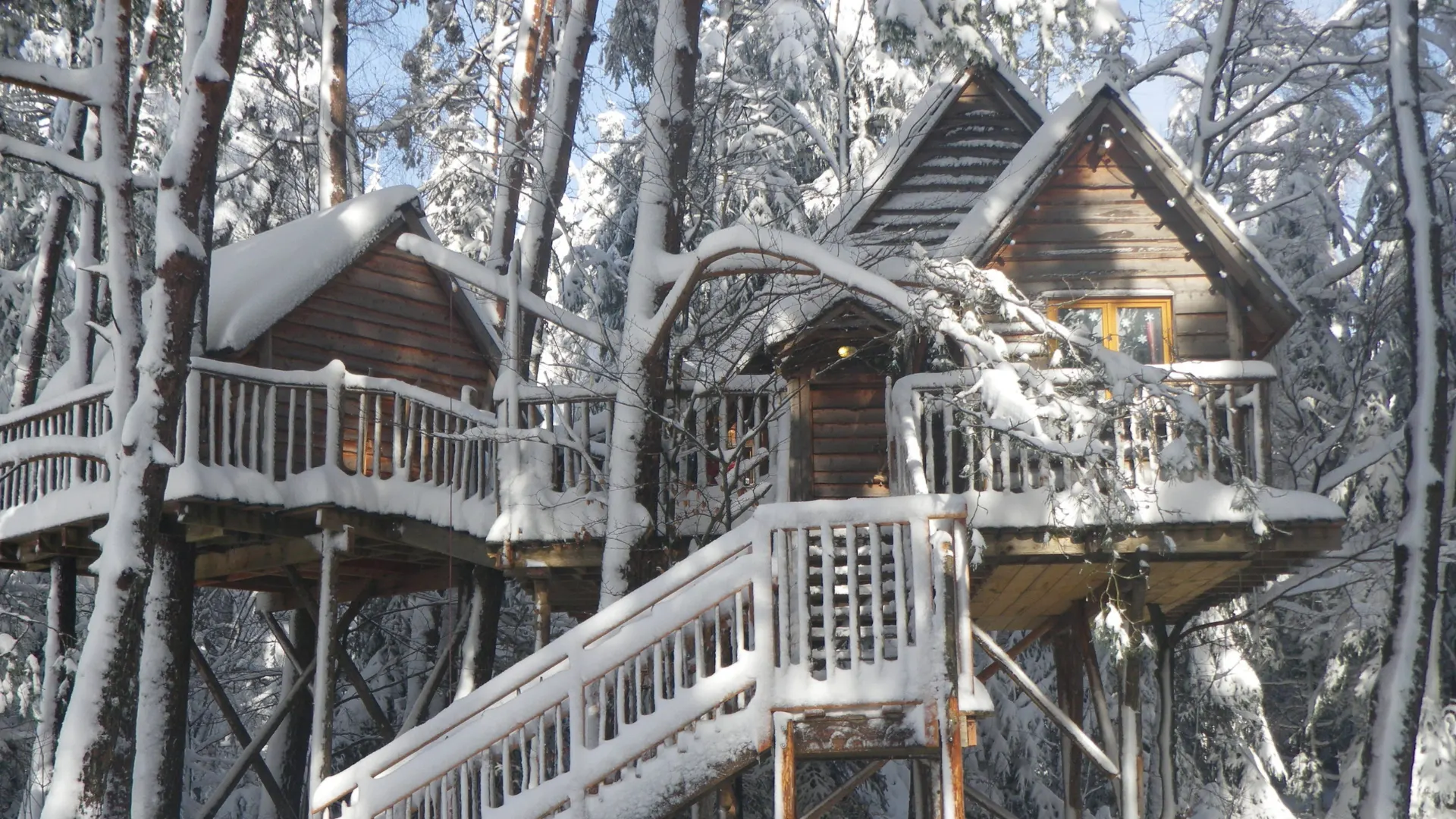 La Double – Cabane Cosy | Cabanes Nids des Vosges