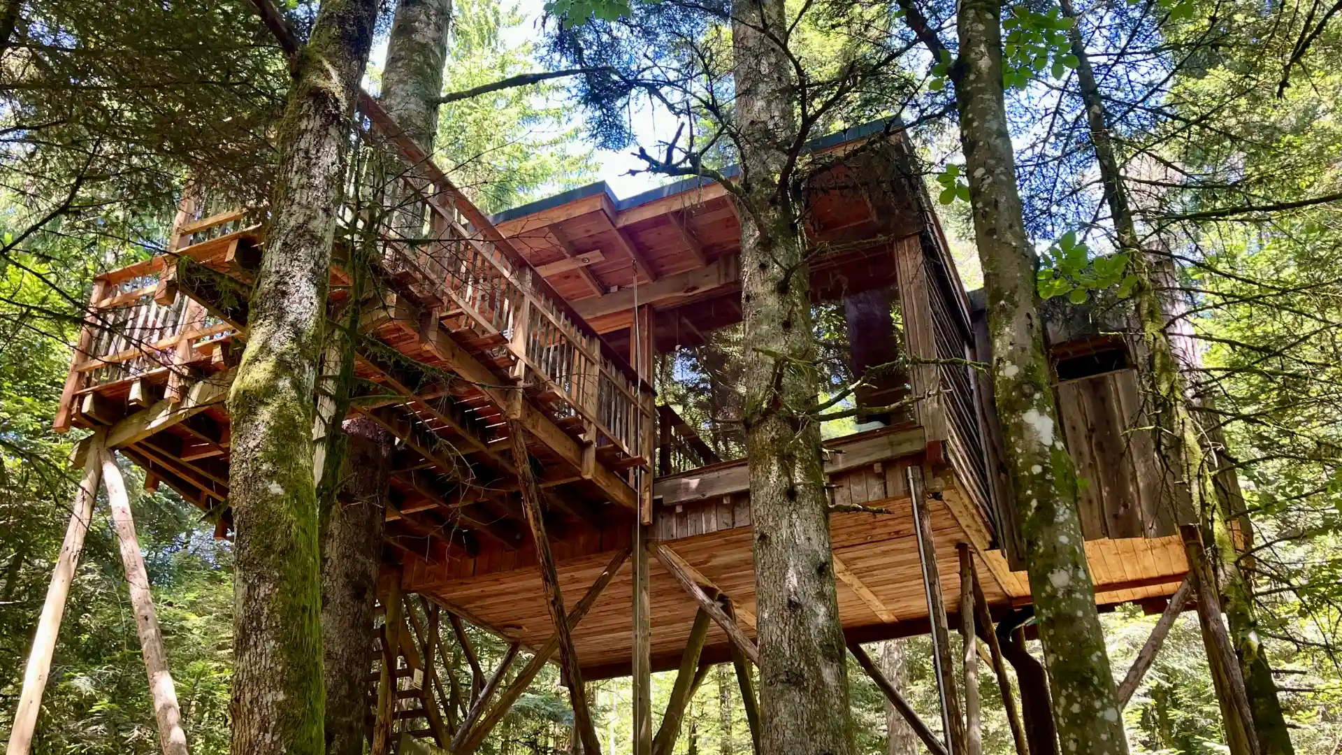 La Vision – Cabane Cosy | Cabanes Nids des Vosges